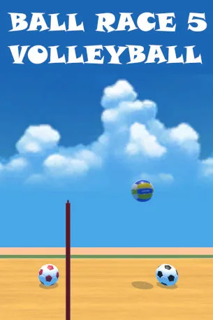 Ball Race 5: Volleyball – plakat